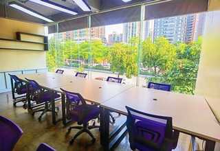 四川咖啡豆腮红