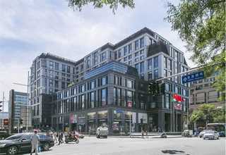 河北溶剂染料价格信息