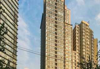 北京企业版think-cell操作流程